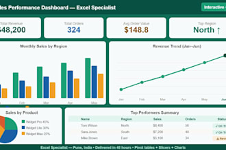 create a professional excel dashboard and charts