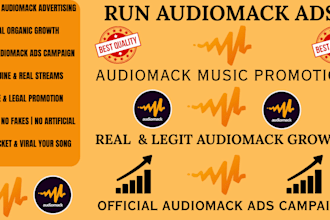 do organic audiomack ads for professional audiomack music promotion