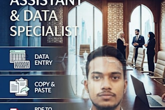 iwill do professional data entry and web research