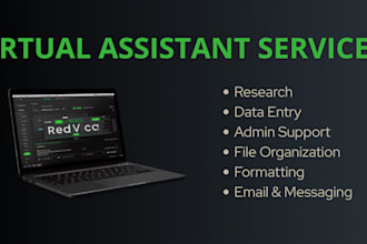 do excel data entry, spreadsheet cleanup, and web research