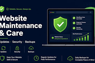 provide monthly website maintenance, updates and security for your site