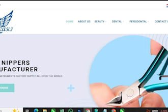 design and develop a professional responsive website for your business
