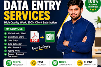 fast and accurate data entry, copy paste and excel work