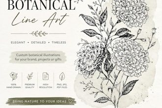 hand drawn botanical line art illustration