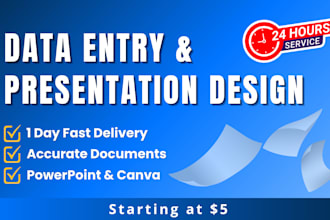 do fast data entry formatting and professional presentation design