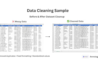 clean and format excel or CSV data professionally