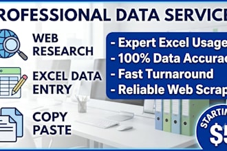 do expert excel data entry, copy paste and web research