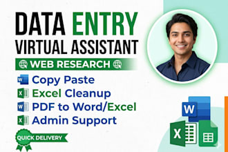 be your virtual assistant for financial data entry and excel bookkeeping