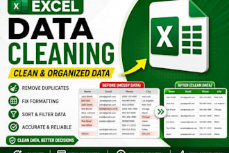 clean and format excel data professionally