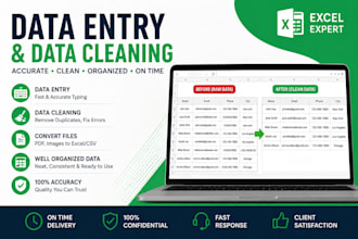 data cleaning and data analyzing accurately and fast