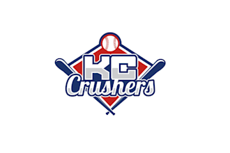 design unique baseball team logo