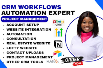 setup lofty crm hubspot zoho ghl zapier integration expert