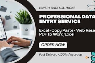 data entry for you
