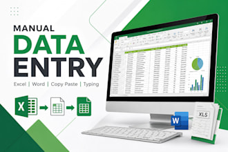 do manual data entry, excel data entry and copy paste work