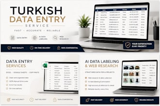 provide turkish data entry, ai data labeling and web research services