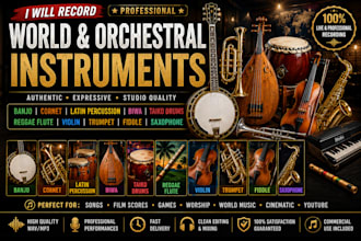 record cinematic banjo violin sax trumpet rock fiddle and orchestral instruments