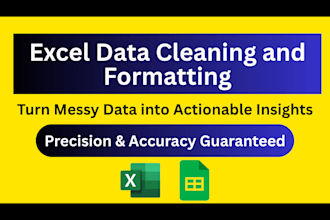 do ms excel data cleaning, formatting, and data cleanup