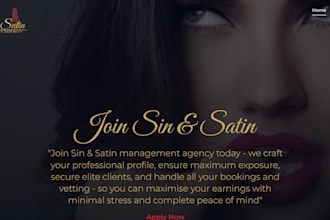 build a custom responsive website with SEO optimisation