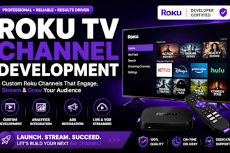 build a custom professional roku streaming TV app for your brand