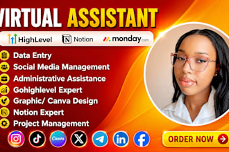 executive virtual assistant personal admin ghl expert social media manager ig dm