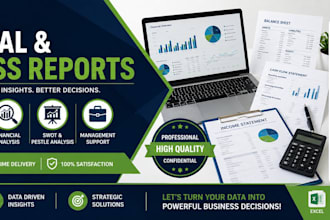 prepare financial statements, ratio analysis, and business reports
