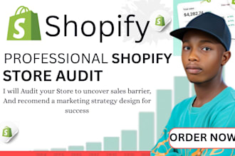 audit, review and analyze your shopify store within 24hrs