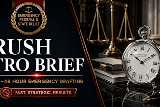draft an emergency rush tro brief in 48 hours or less