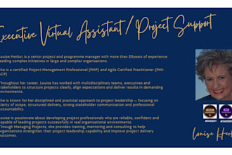 provide senior executive project coordination and  support