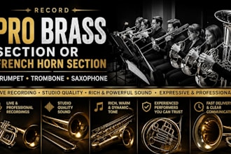 record pro brass section or french horn section, trumpet, trombone, saxophone