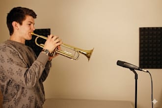 record professional brass horn, bass and strings for your music