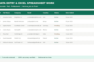 do accurate data entry and excel spreadsheet work