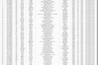 premium first hit sweepstacks leads, elderly senior aged, auto dailer, bank lead