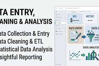 expert data entry, data cleaning, and data analysis in excel