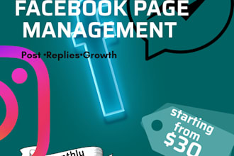 professionally manage your facebook page