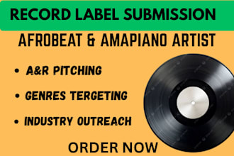provide record label strategy and artist development for afrobeats and amapiano