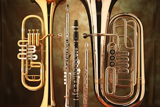 record euphonium sousaphone clarinet wagner tuba flutes for your song