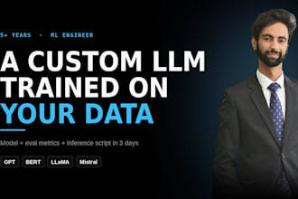 fine tune llm gpt or bert, train custom ai model on your dataset