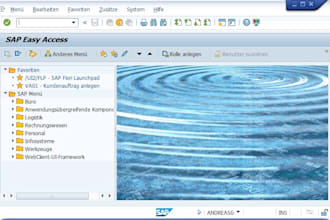 do sap finance customizing in s4 and r3