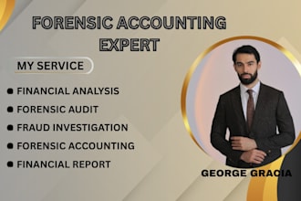 do forensic accounting, fraud detection, and audit support