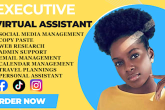 executive administrative virtual assistant social media