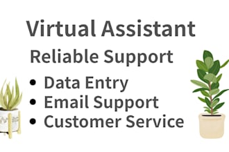 provide virtual assistant support