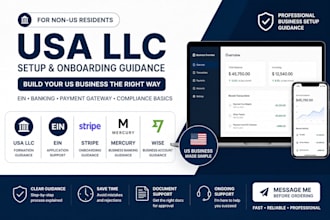 assist with US llc setup mercury wise and stripe onboarding