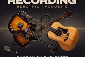 record electric and acoustic guitar parts, rhythm guitars, lead guitars