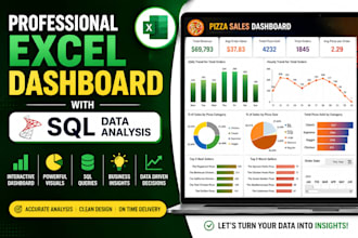 build professional excel dashboard with business insights