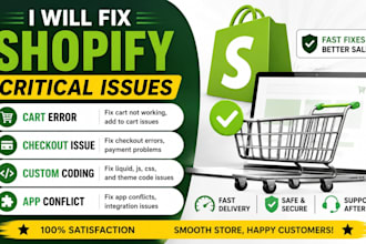 fix shopify checkout cart payment gateway issue custom coding app conflict bug