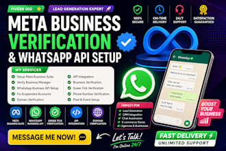 fix meta business verification, whatsapp API, domain verification, meta pixel
