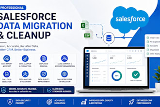 do salesforce data migration and cleanup