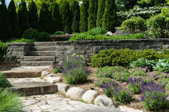 create eco friendly landscape design for backyard and garden