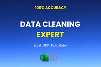 do excel data cleaning, data entry and CRM data entry