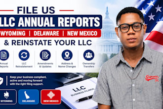 file US annual tax report wyoming delaware nm and reinstate your llc tax return